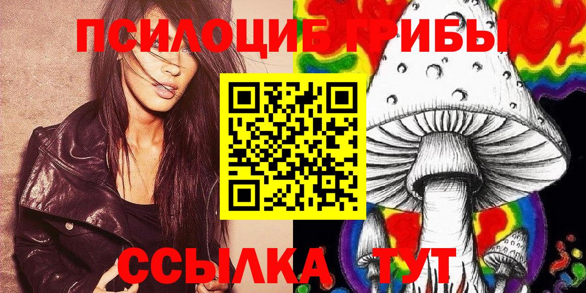 Галлюциногенные грибы мухоморы  продажа наркотиков  Бердск  Вход с VPN 